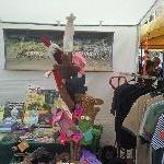 The Salamanca markets in Hobart Australia Travel Photos