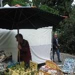 The Salamanca markets in Hobart Australia Travel Tips