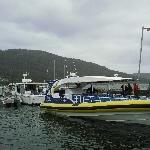 The Tasman Island Charter Cruise, Port Arthur Australia