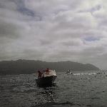 The Tasman Island Charter, Port Arthur Australia