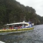 Tasman Island Cruise Charter