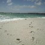 Foot prints at Swimcart beach