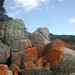 Bay of Fires beach