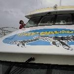 Eden Australia Cat Balou Whale Spotting Cruise