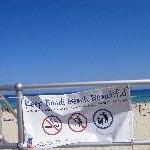Swimming alert in Bondi beach