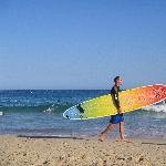 Nice surfing boards in Bondi