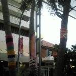   Wollongong Australia Diary Photography