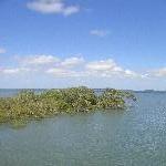 Lagoon at Kingfisher Bay Ferry Dok