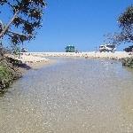 Pictures of Eli Creek on Fraser Island