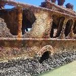 Moheno Shipwreck on Fraser Island