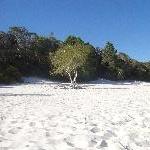 The beautiful sand of Lake McKenzie beach