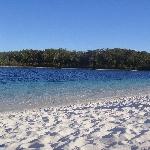 Lake McKenzie freshwater pool