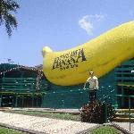 The Big Banana Symbol of Coffs, Coffs Harbour Australia
