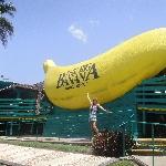 Coffs Harbour Big Banana , Coffs Harbour Australia