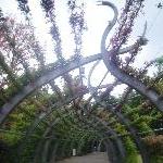 The botanical paths of the Parklands