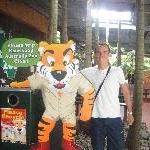 The Tazzie Tiger at Australia ZOO, Beerwah Australia