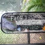 The names of the Australia Zoo Crocodiles, Beerwah Australia