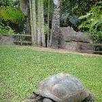 The Steve Irwin Australia Zoo in Beerwah, Queensland Blog Photography