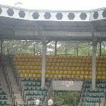 Parrot show in the Crocoseum, Beerwah