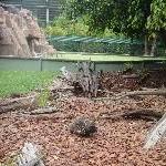 The Steve Irwin Australia Zoo in Beerwah, Queensland Travel Album