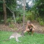 The Steve Irwin Australia Zoo in Beerwah, Queensland Blog Sharing