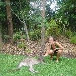 The Steve Irwin Australia Zoo in Beerwah, Queensland Diary Photo