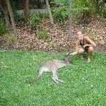 The Steve Irwin Australia Zoo in Beerwah, Queensland Vacation Experience