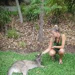 The Steve Irwin Australia Zoo in Beerwah, Queensland Travel Diary