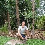 The Steve Irwin Australia Zoo in Beerwah, Queensland Trip Sharing