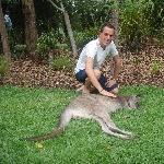 The Steve Irwin Australia Zoo in Beerwah, Queensland Diary Photos