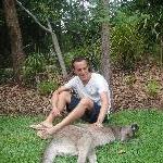 The Steve Irwin Australia Zoo in Beerwah, Queensland Travel Information