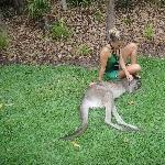 The Steve Irwin Australia Zoo in Beerwah, Queensland Picture gallery