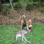 The Steve Irwin Australia Zoo in Beerwah, Queensland Story Sharing