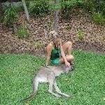 The Steve Irwin Australia Zoo in Beerwah, Queensland Album Pictures
