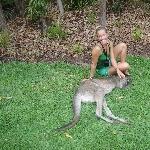 The Steve Irwin Australia Zoo in Beerwah, Queensland Diary Adventure