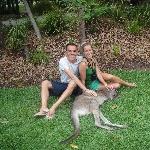The Steve Irwin Australia Zoo in Beerwah, Queensland Review Photograph
