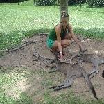The Steve Irwin Australia Zoo in Beerwah, Queensland Vacation Photos