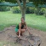 The Steve Irwin Australia Zoo in Beerwah, Queensland Photographs