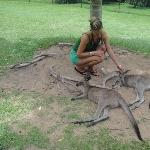 The Steve Irwin Australia Zoo in Beerwah, Queensland Trip