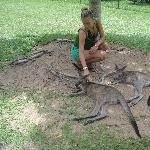 The Steve Irwin Australia Zoo in Beerwah, Queensland Album Photographs