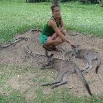 The Steve Irwin Australia Zoo in Beerwah, Queensland Vacation Photo