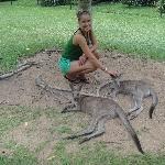 The Steve Irwin Australia Zoo in Beerwah, Queensland Travel Photo