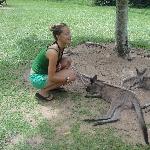 The Steve Irwin Australia Zoo in Beerwah, Queensland Holiday Sharing