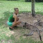 The Steve Irwin Australia Zoo in Beerwah, Queensland Trip Pictures