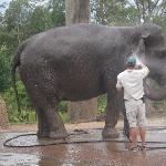 The Steve Irwin Australia Zoo in Beerwah, Queensland Travel Album