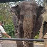 The Steve Irwin Australia Zoo in Beerwah, Queensland Photograph