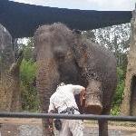 The Steve Irwin Australia Zoo in Beerwah, Queensland Blog Sharing