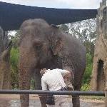The Steve Irwin Australia Zoo in Beerwah, Queensland Diary Photo