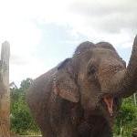 The Steve Irwin Australia Zoo in Beerwah, Queensland Trip Sharing