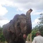 The Steve Irwin Australia Zoo in Beerwah, Queensland Vacation Adventure